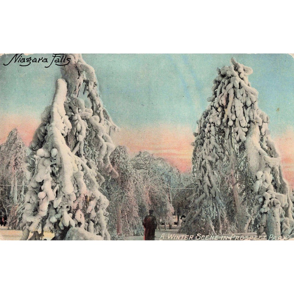 Niagara Falls New York NY Prospect Park Ice Winter Scene Postcard 1913 Posted